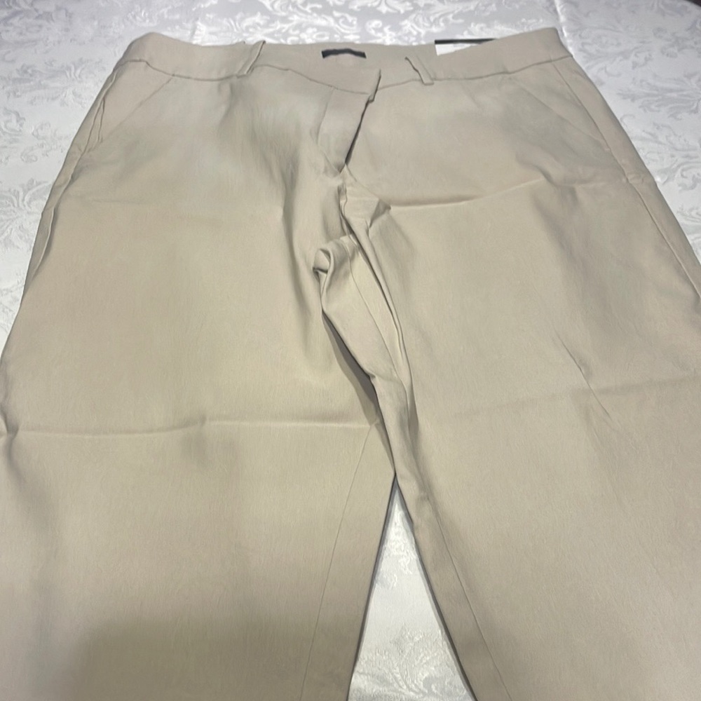 NWT 12p tan pants